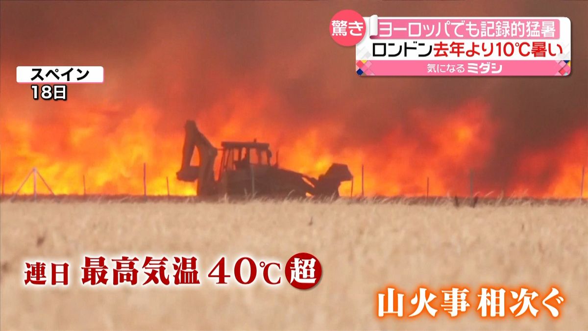 ヨーロッパで記録的な猛暑　最高気温40℃超え…山火事も相次ぐ