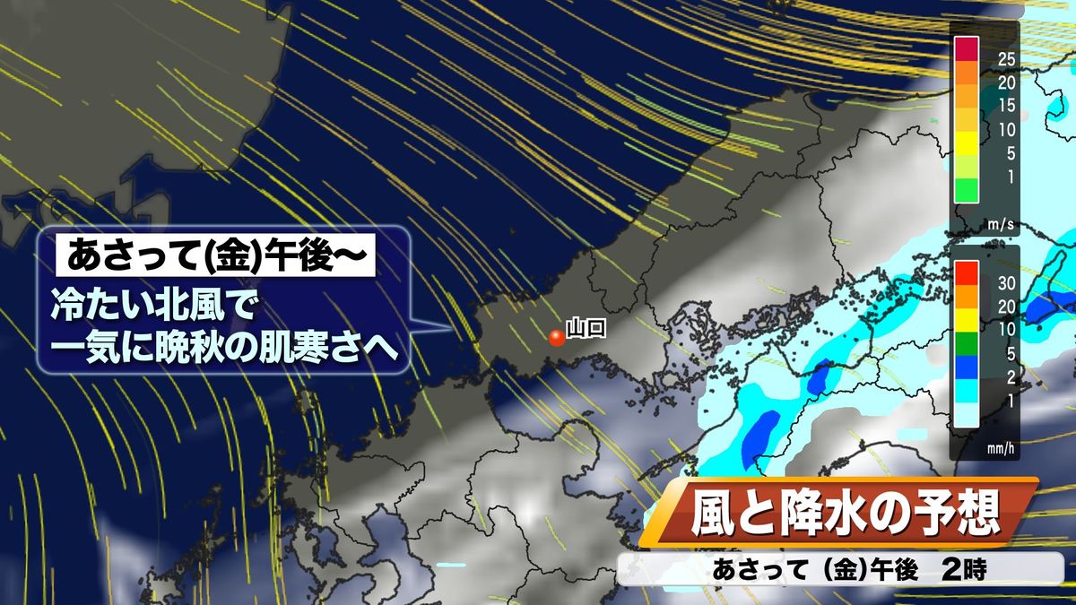 風と降水の予想　20日(金)午後