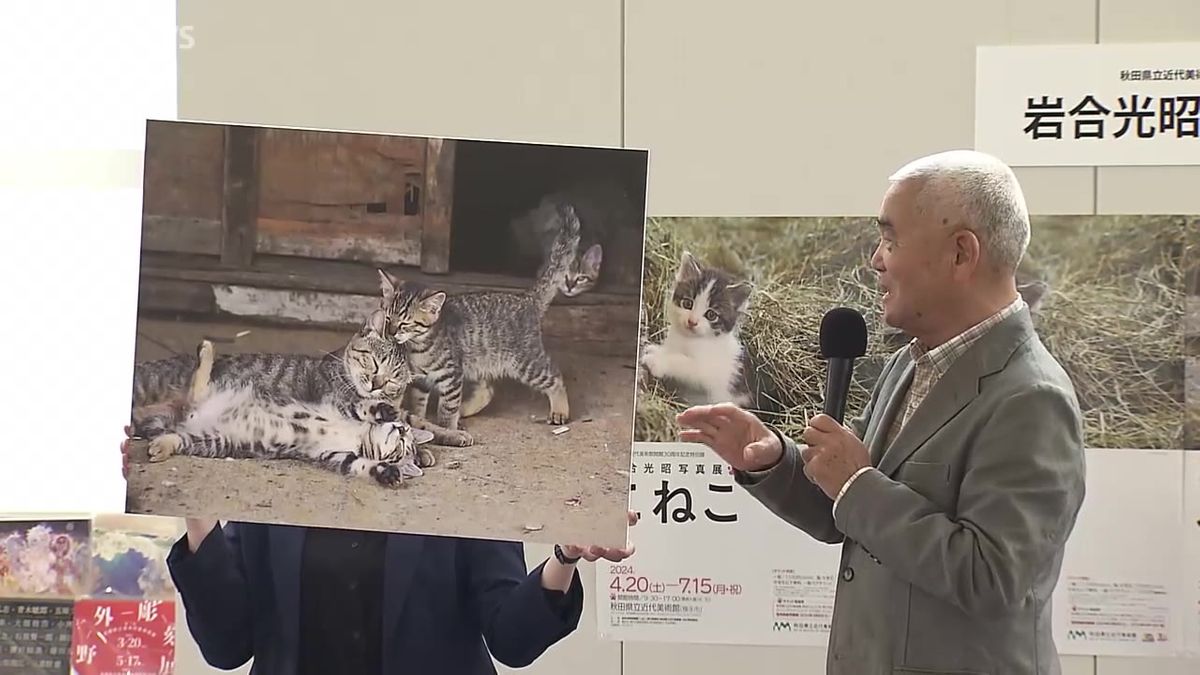 動物写真家・岩合さん　”こねこ”撮影の裏側明かす