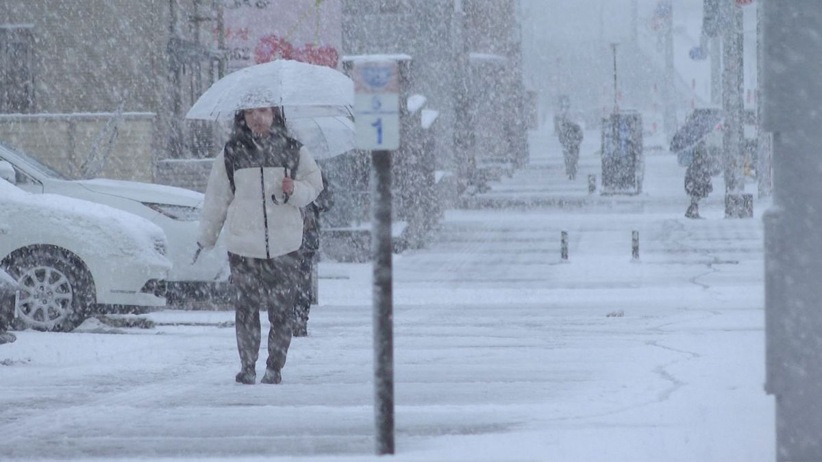 山形県内30日夕方までの予想降雪量　平地で20センチから40センチ　山形新幹線に遅れ・運休の可能性