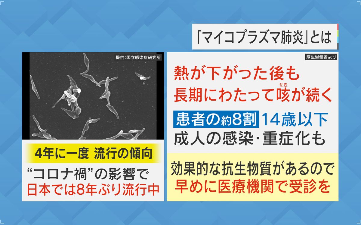 マイコプラズマが長引き薬不足にも…