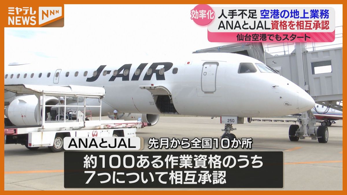 【<ANA>の機体誘導を<JAL>のスタッフが…】「全日空」と「日本航空」　企業の枠超え『空港の地上業務スタッフ』の業務効率化に取り組む　スタッフの人手不足に対応（仙台空港）