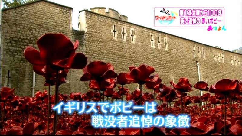 第１次大戦から１００年　英・追悼の赤い花