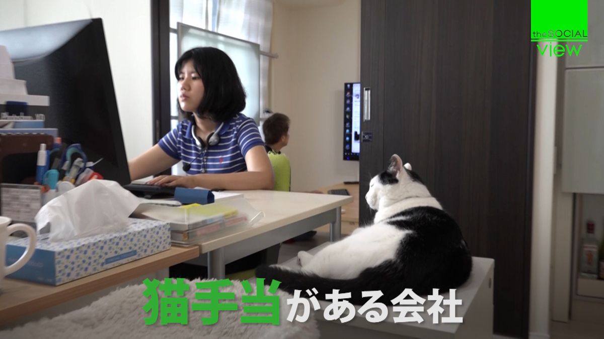 月５０００円支給「猫手当」制度ある会社