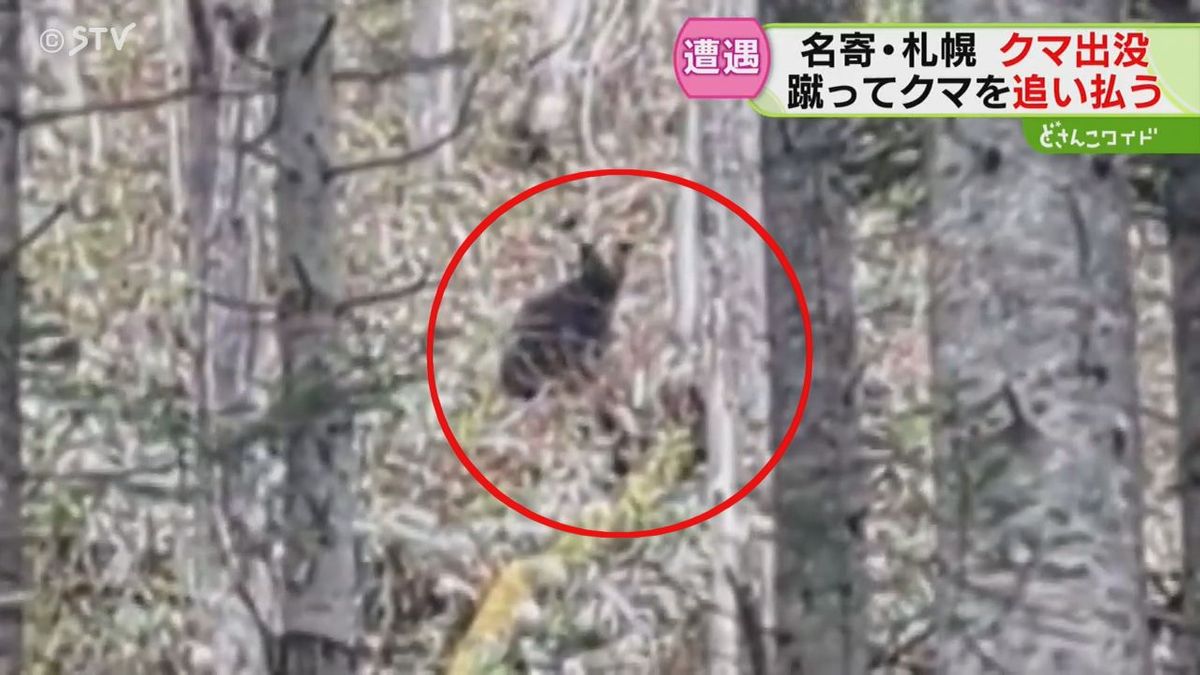 名寄市で旅行者の男性がクマに遭遇　蹴って撃退　男性にけがなし　札幌の市街地でもクマ　北海道