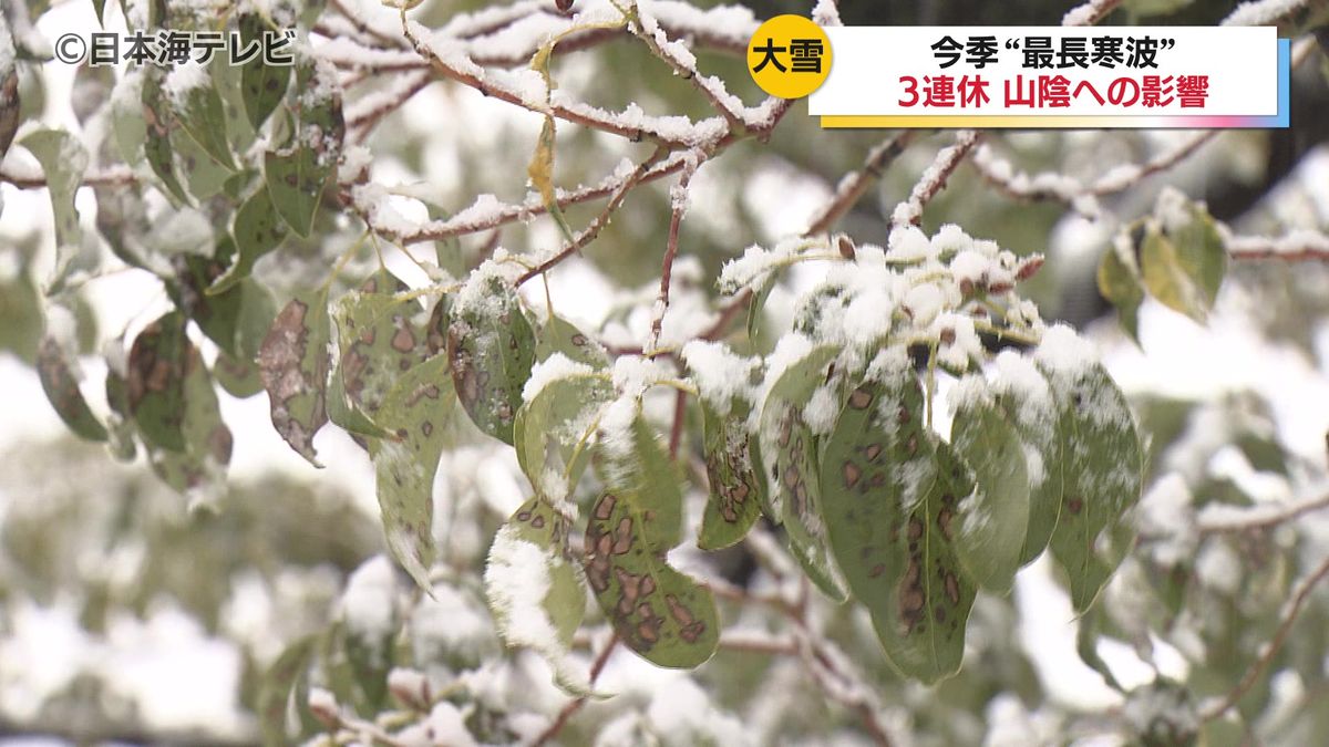 3連休に大雪　今季"最長寒波"の影響は？　交通機関も通行止めや欠航に　一方で雪景色の松江城や鳥取砂丘を楽しむ人々も　鳥取県・島根県　