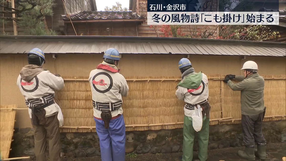 石川・金沢市の冬の風物詩　武家屋敷の「こも掛け」始まる