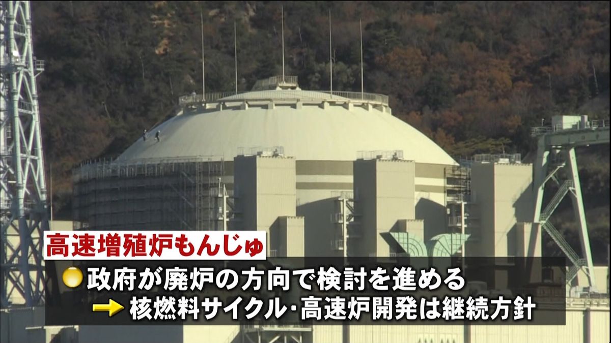 反原発市民グループ「もんじゅ」廃炉訴え