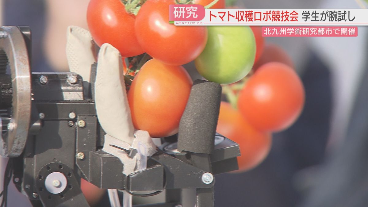 どれだけ多く収穫できる？『トマトロボット競技会』に高専チームが挑戦　　福岡