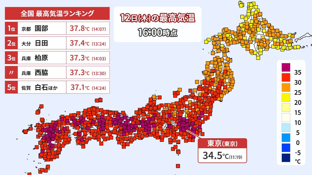 12日(木)の最高気温