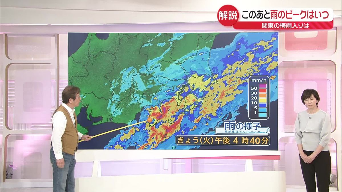 【気象解説】今後の雨の見通し　関東の梅雨入りはいつ？