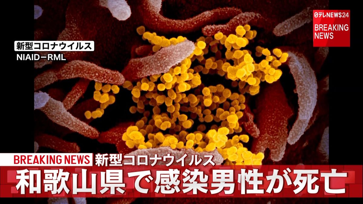 和歌山県で感染男性が死亡　新型コロナ