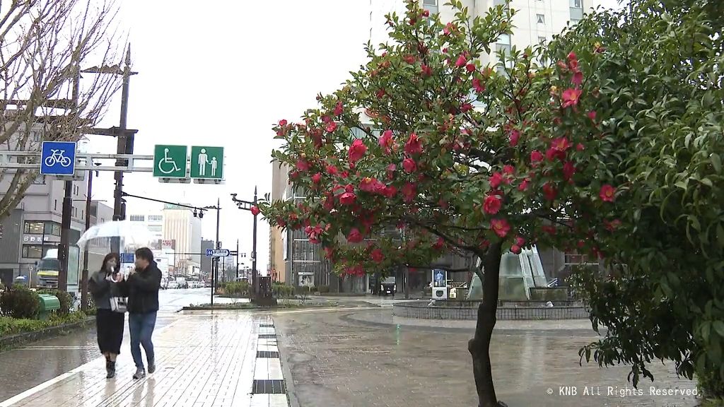 気温が下がり　冷たい雨の１日に　富山県内