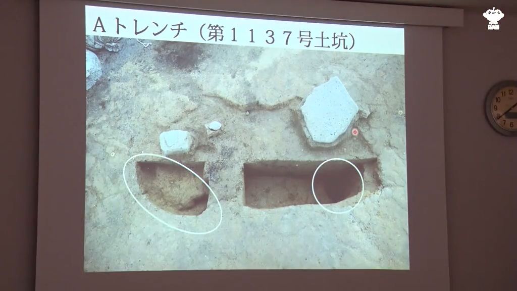 墓はおよそ5100年前から4400年前のもの　三内丸山遺跡の発掘調査結果報告