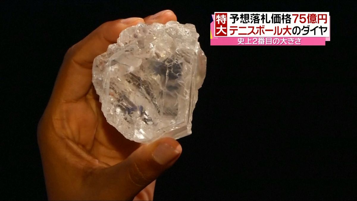 特大ダイヤモンド発掘　落札価格７５億円？