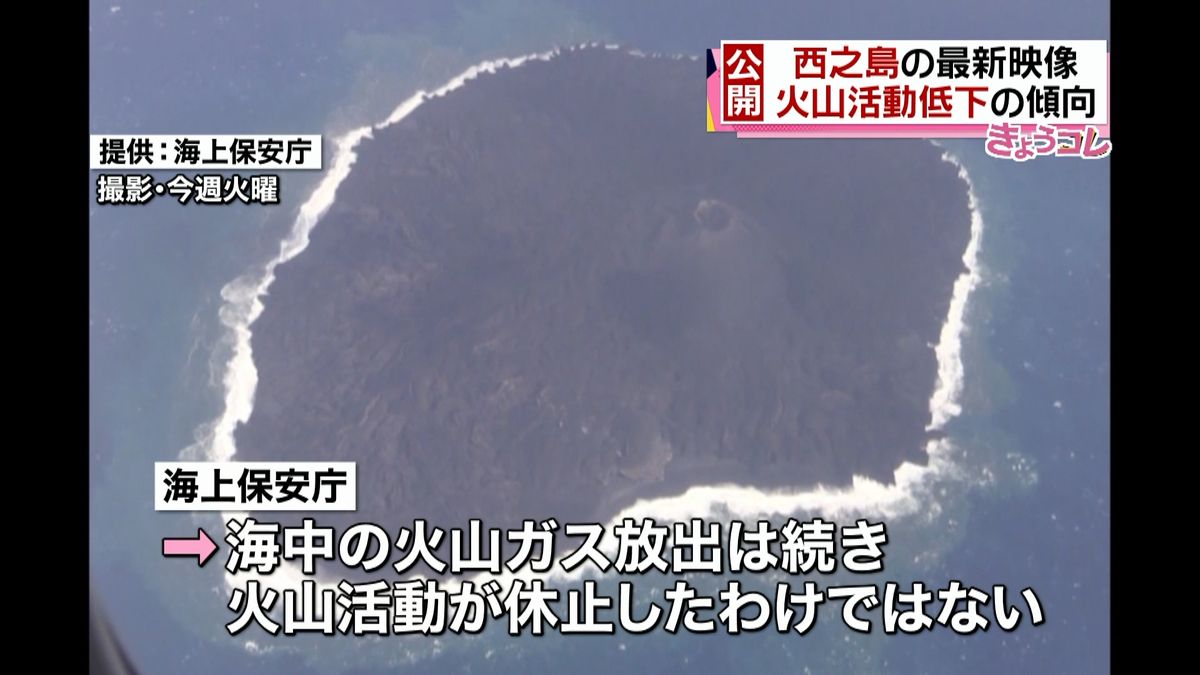 西之島の最新映像　火山活動は低下傾向