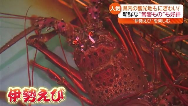 【人気は…新鮮な伊勢えび】新型コロナ5類移行後初の大型連休で県内各地もにぎわい【福島県】