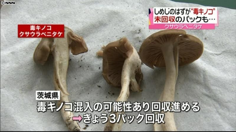 直売所の商品に“毒キノコ”３パック回収（2010年10月14日掲載）｜日テレNEWS NNN