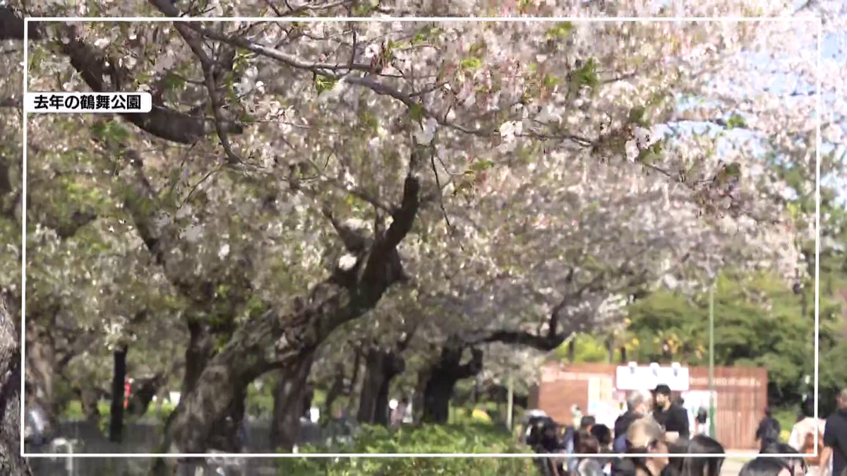 去年の鶴舞公園の様子