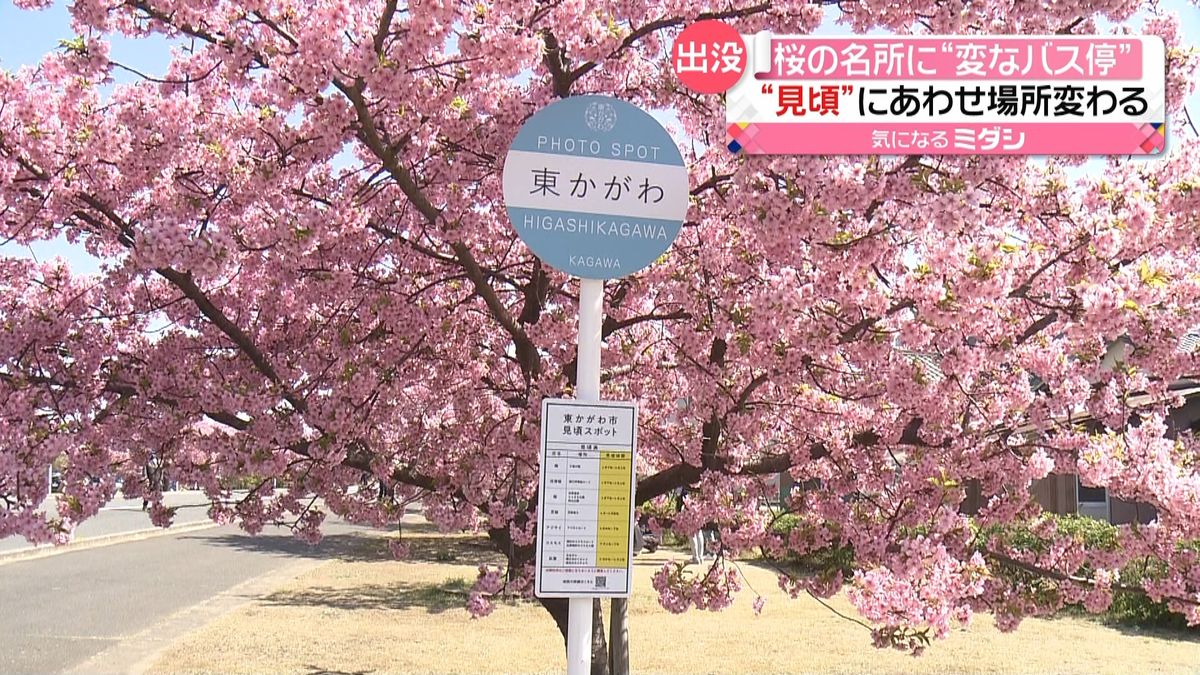 桜の名所に“バス停”新設もバスは来ず…時刻表もなし　香川