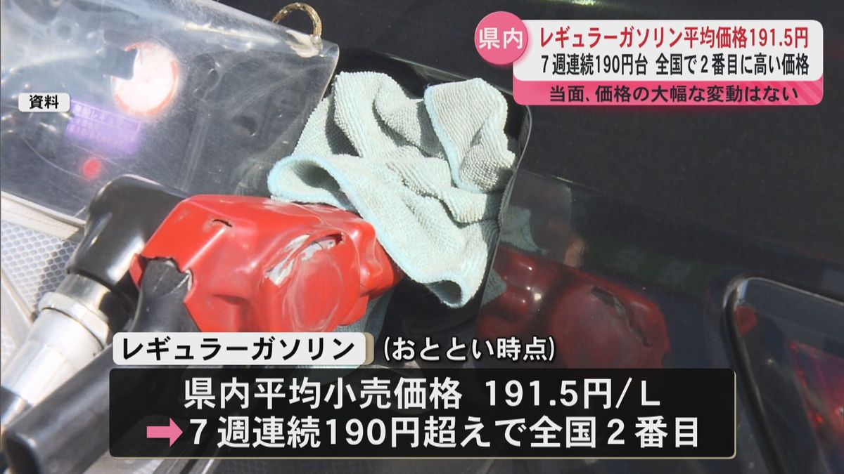 レギュラーガソリン平均価格191.5円　全国2位　鹿児島県内7週連続190円台「当面価格の大幅な変動なし」