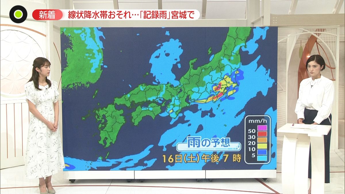 16日夕方ごろから関東でも激しい雨の恐れ…雨雲の動きは？　寝る前“3つ”の備えも