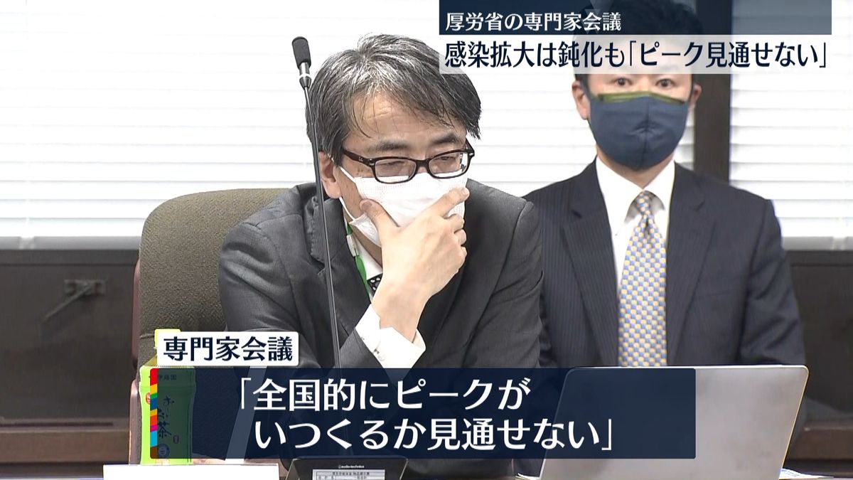 感染拡大鈍化傾向も「ピークは見通せない」～厚労省専門家会議