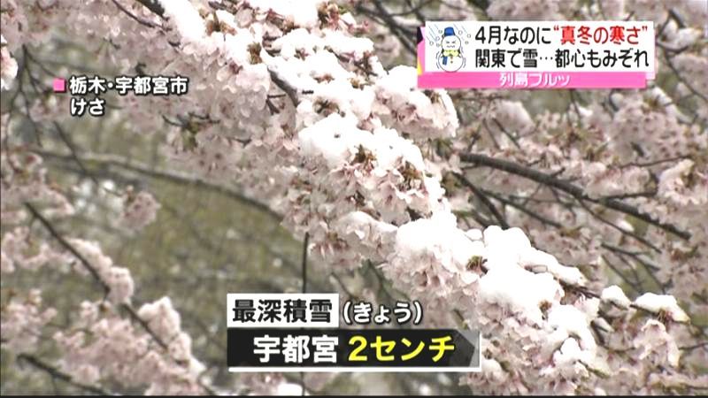 真冬の寒さ…４月の銚子で９０年ぶりの雪