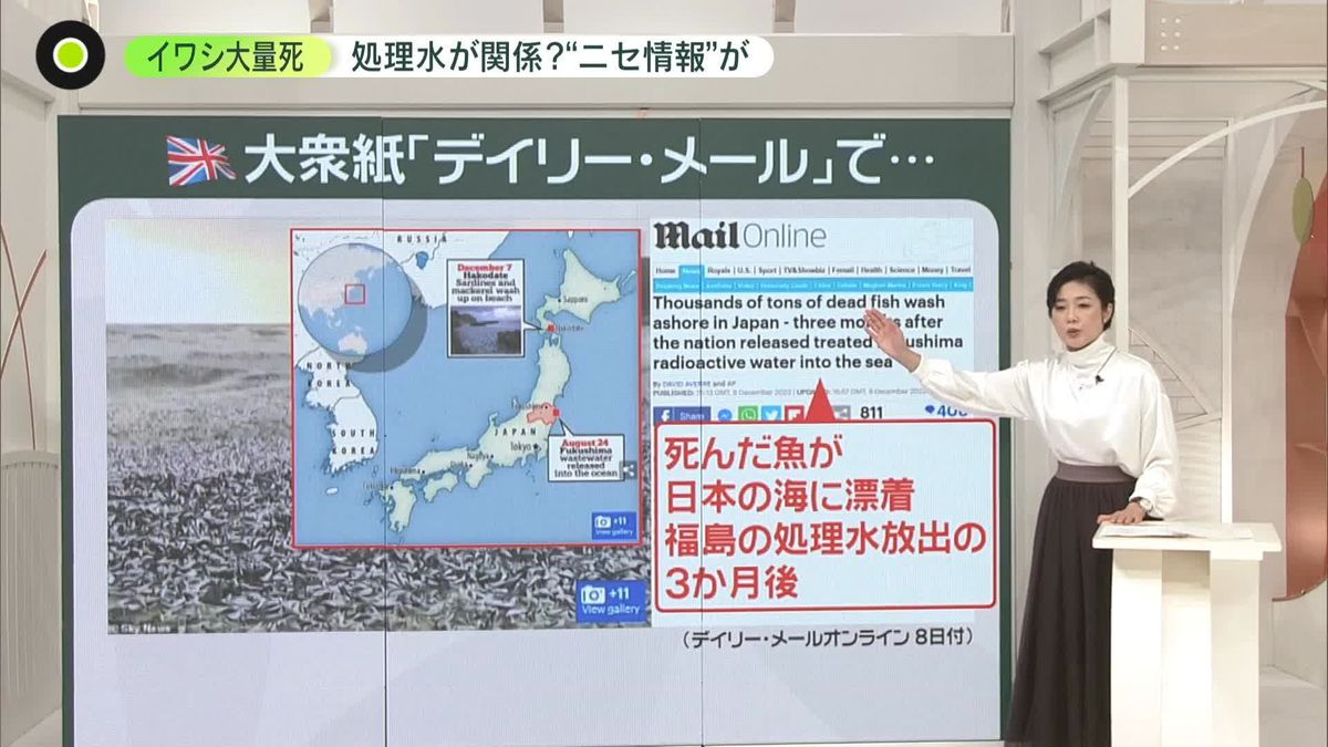 【解説】イワシ大量死“処理水が関係”？　ニセ情報も　英大衆紙まで…どう対応？