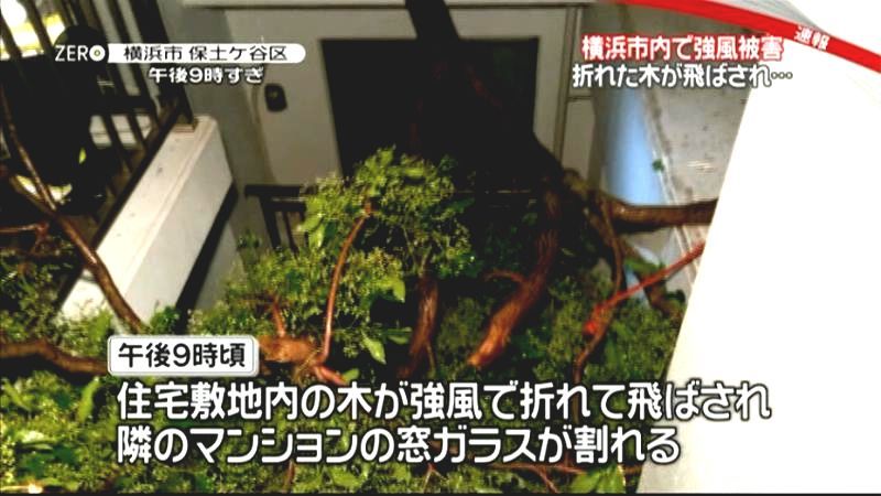 強風で飛んだ木が窓ガラス割る被害　横浜市