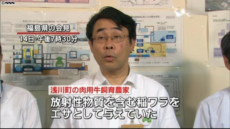 汚染された稲わら与えた牛４２頭出荷　福島