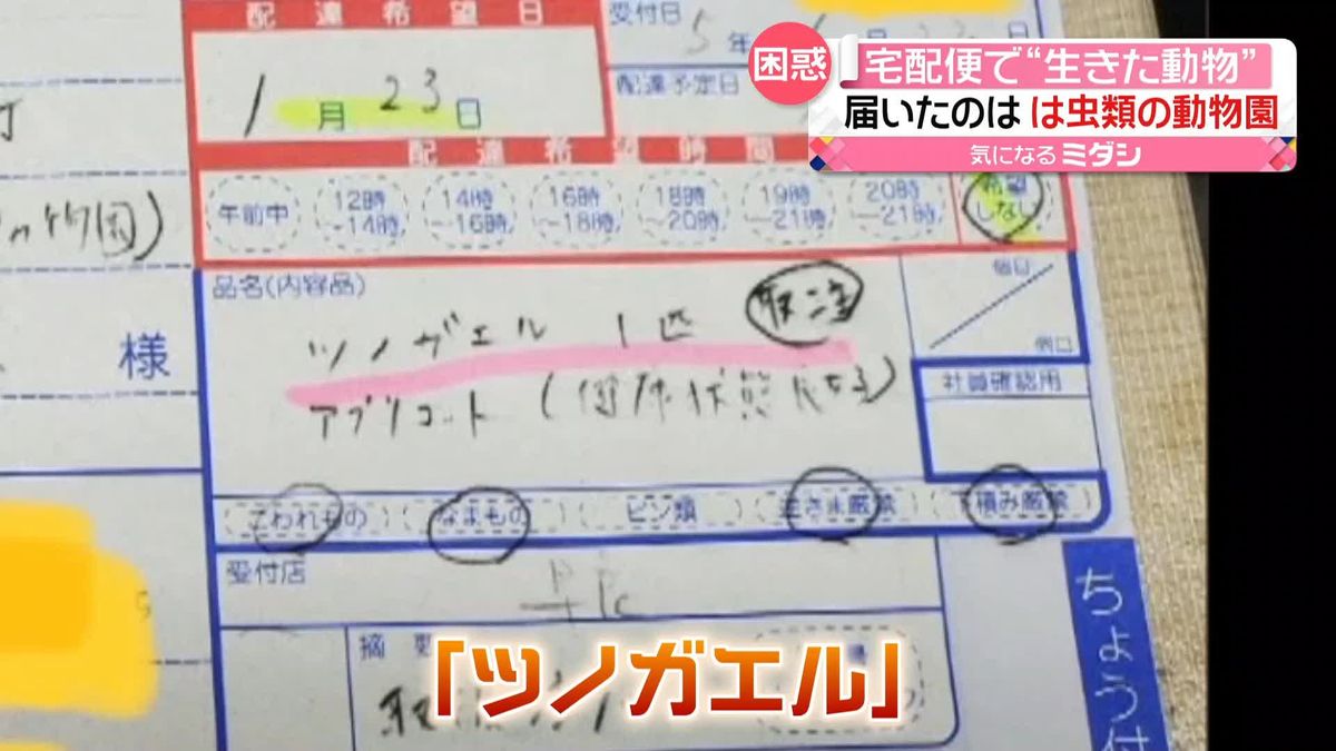 宅配便で“生きたカエル”届く…動物園の園長「本当にやめてほしい」　実在する店舗を名乗り送付か