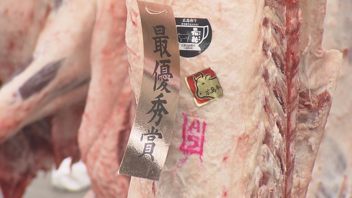 県内の和牛ナンバーワンを決定　「広島県畜産共進会」始まる