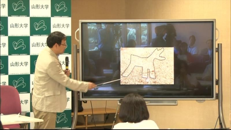 山形大のチーム“新しいナスカ地上絵”発見