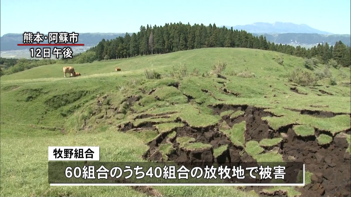 牛や馬の放牧地で地震の被害調査　阿蘇市