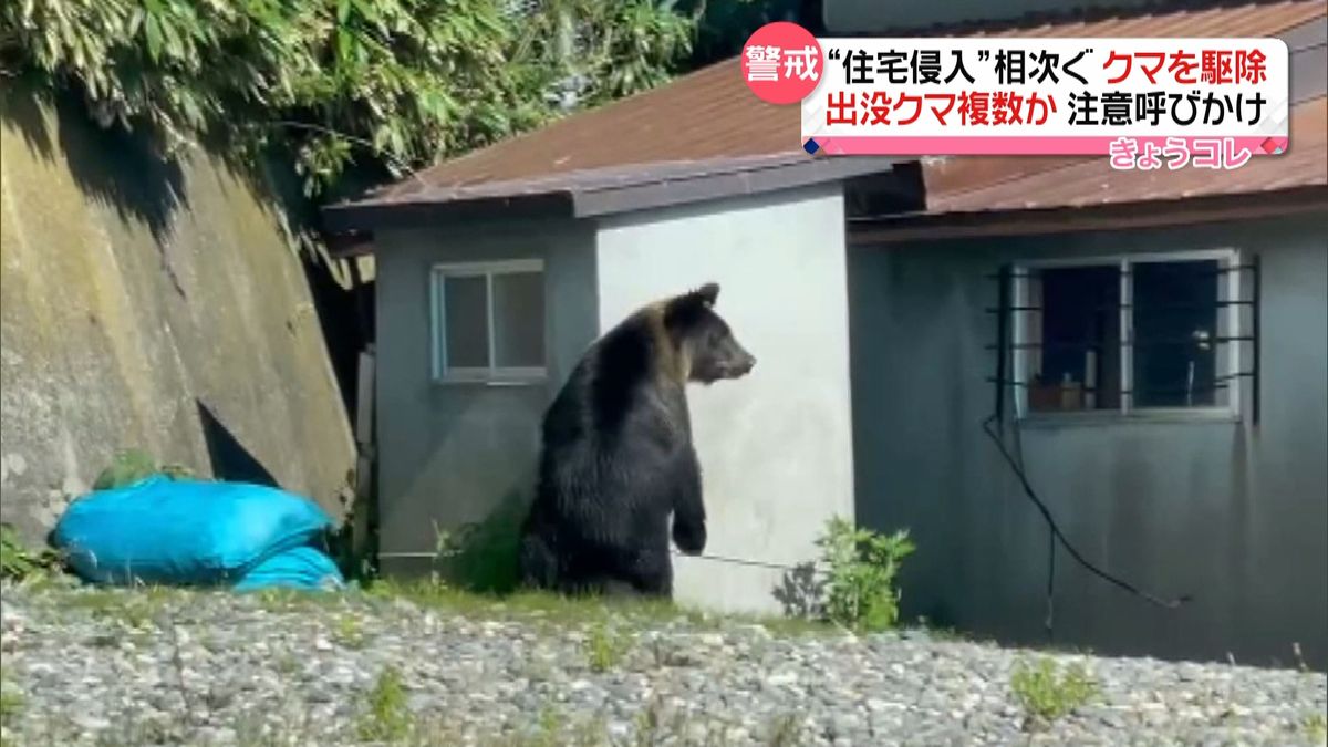 住宅侵入相次ぐ…クマを駆除　北海道羅臼町