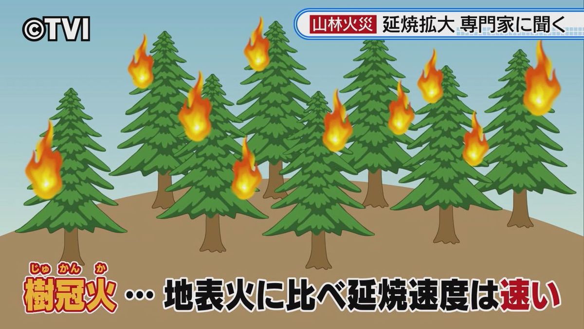 ＜大船渡・山火事＞専門家が指摘する「樹冠火」の可能性　８年前の釜石の山林火災と共通点か