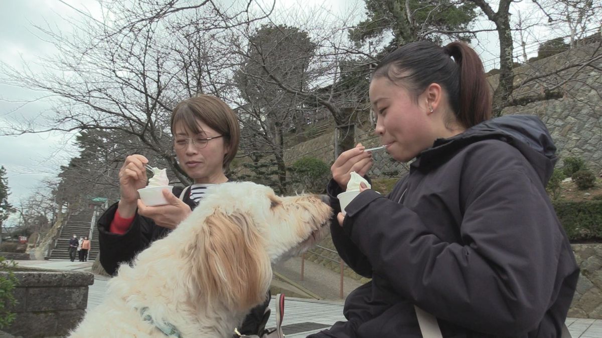 県内は4月下旬並みの暖かさに 福井市では今年初めて最高気温が20度超え 