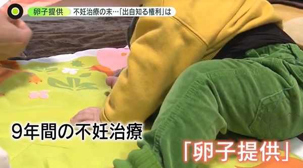 ネットで偶然見つけた「卵子提供」