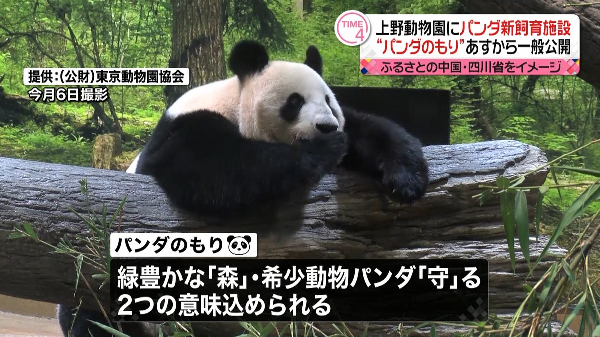 上野動物園　新施設「パンダのもり」が完成