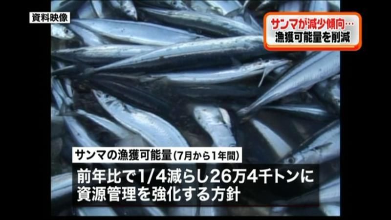 サンマの資源管理を強化へ　漁獲可能量を減