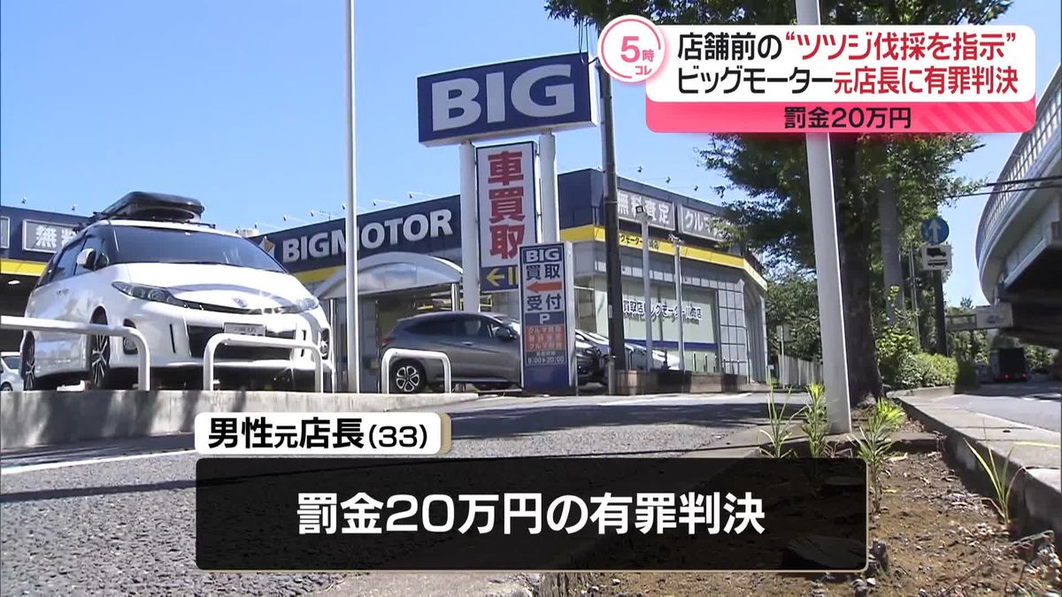 店舗前の街路樹切断問題　動機「自己保身的で身勝手」BM元店長に罰金20万円の有罪判決　横浜地裁