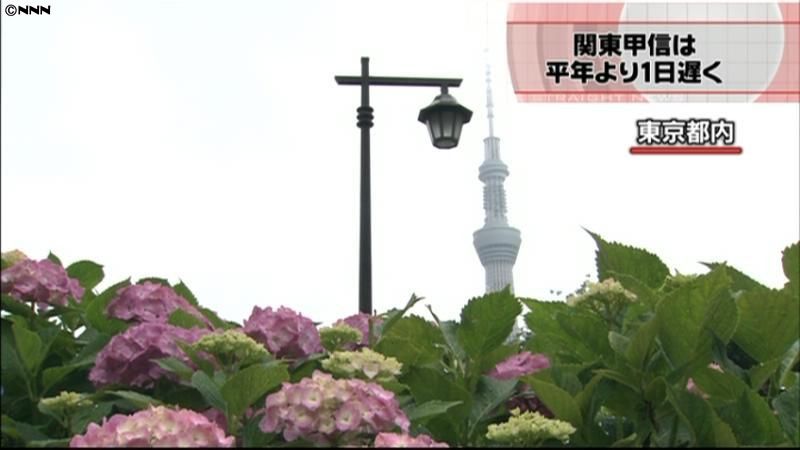 関東甲信、北陸地方が梅雨入り～気象庁