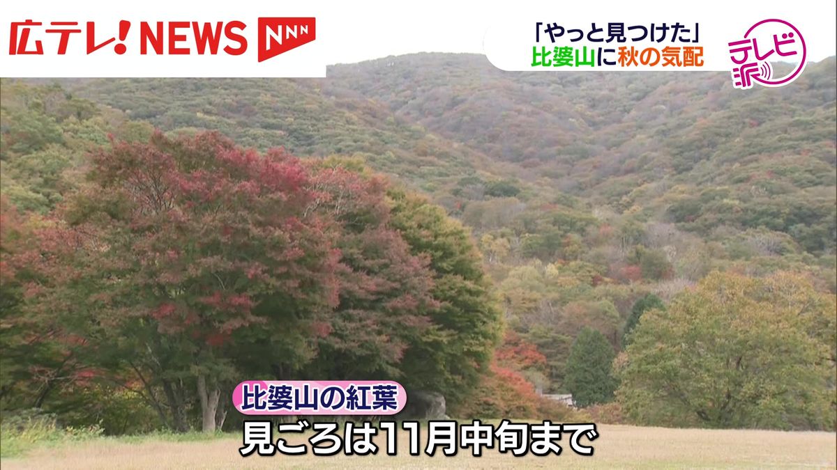 庄原市西城町の比婆山に秋の気配　紅葉色づく　11月中旬までが見ごろ　広島