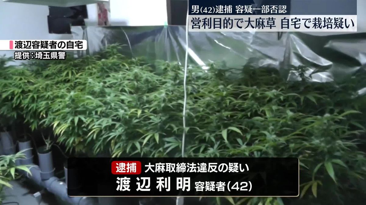 営利目的で大麻草126本栽培か、男逮捕　東京・足立区