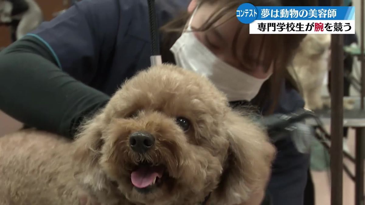 夢はトリマー コンテストで腕競う【高知】