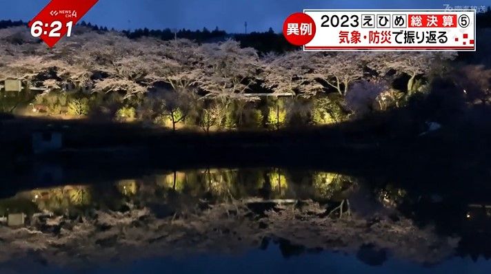 内子町の尾首の池のさくら（3月29日）