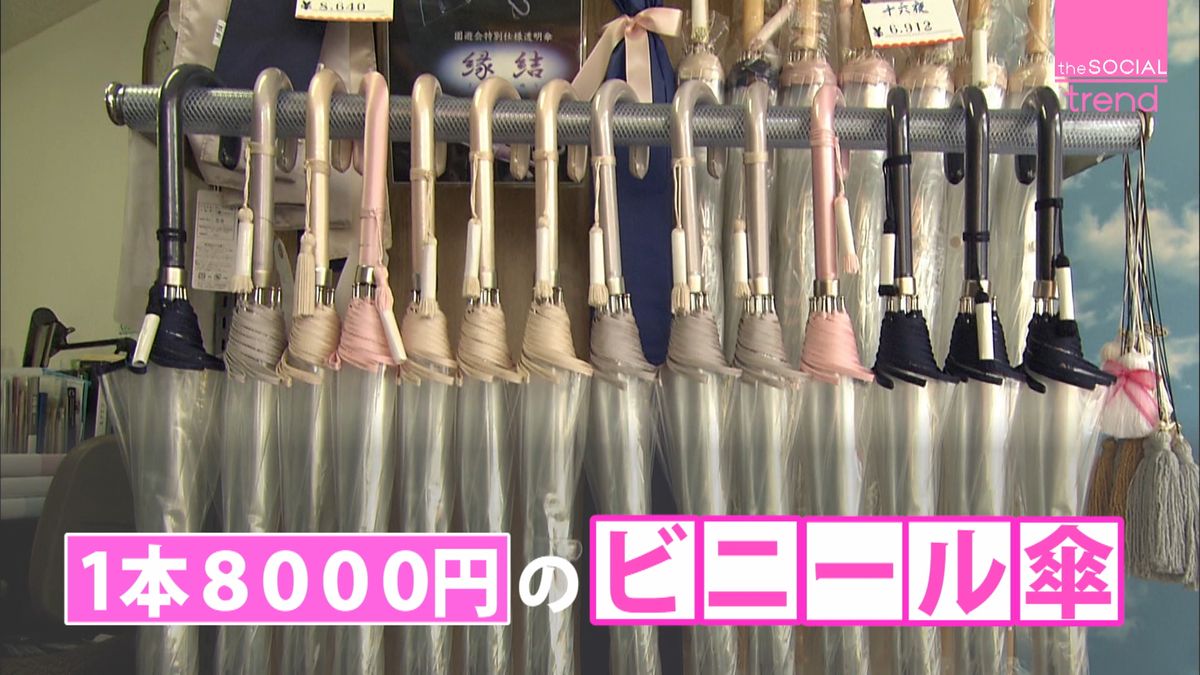 何が違う？１本８０００円の高級ビニール傘