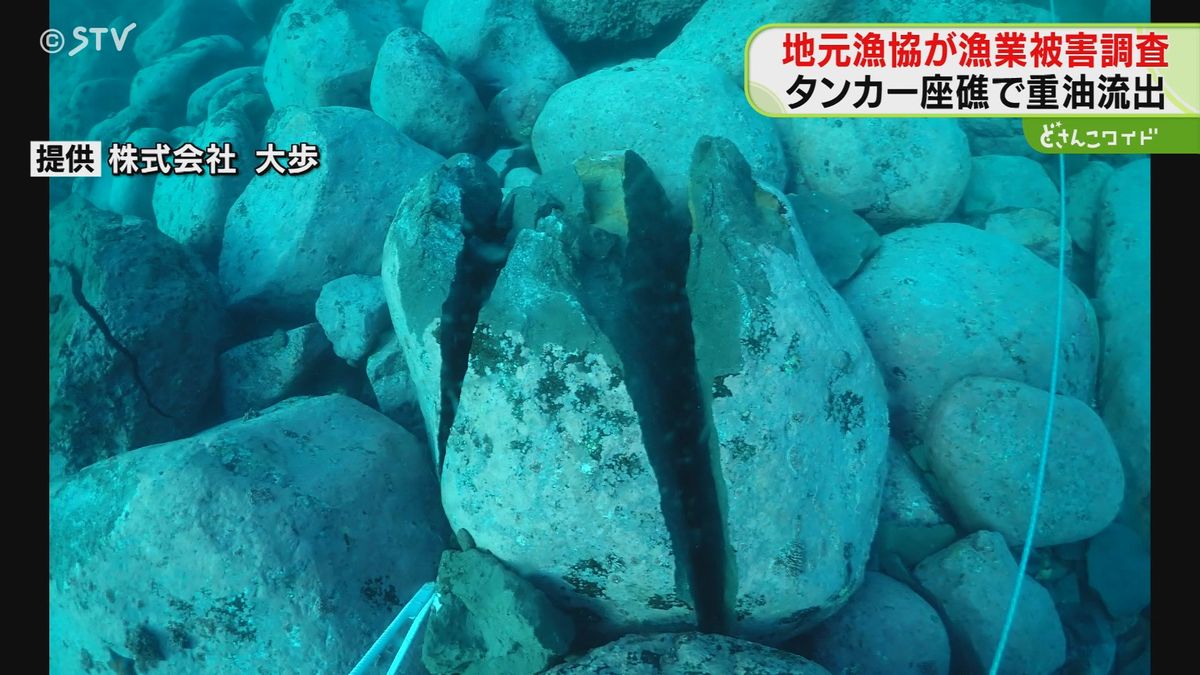 「大きな岩が砕けている」タンカー座礁で漁業被害調査　ウニなど油の影響確認されず　北海道