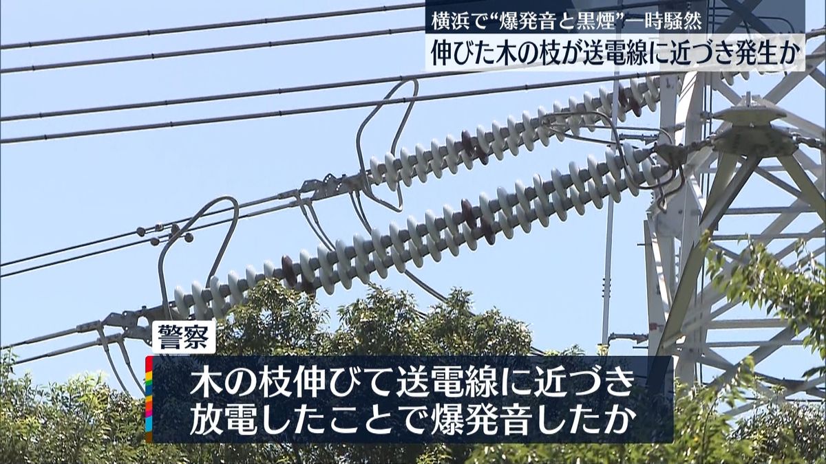 横浜で“爆発音”通報　伸びた木の枝が送電線に近づき発生か